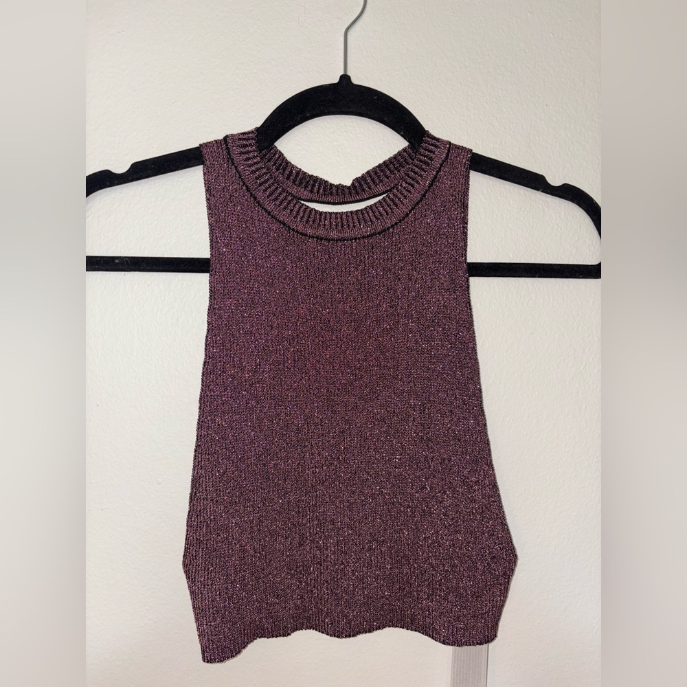 Zara Shimmering Knit Crop Top